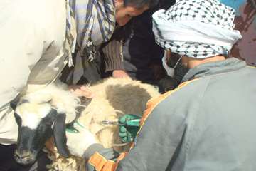 در اسفندماه چه گذشت: